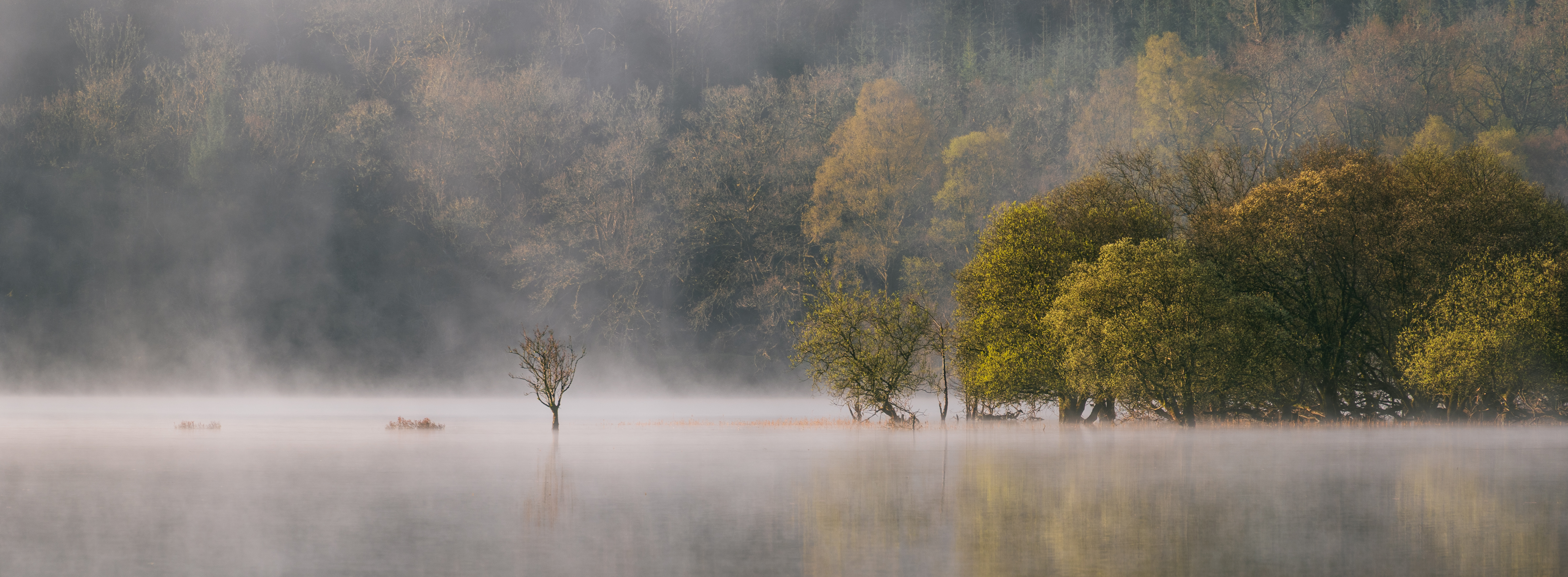 Scottish Highlands landscape